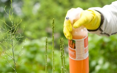 Agrochemical Labels and Horticultural Tags
