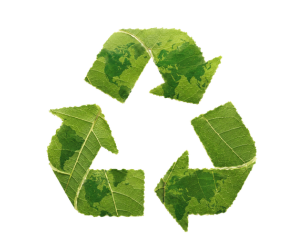 Compostable and Biodegradable Label Materials