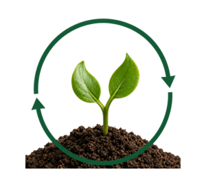 Renewable Packaging Materials: Shift Away from Fossil Fuels